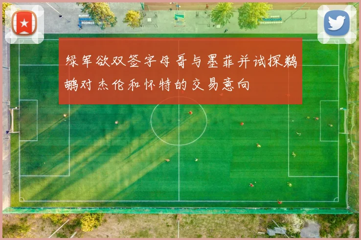 绿军欲双签字母哥与墨菲并试探鹈鹕对杰伦和怀特的交易意向
